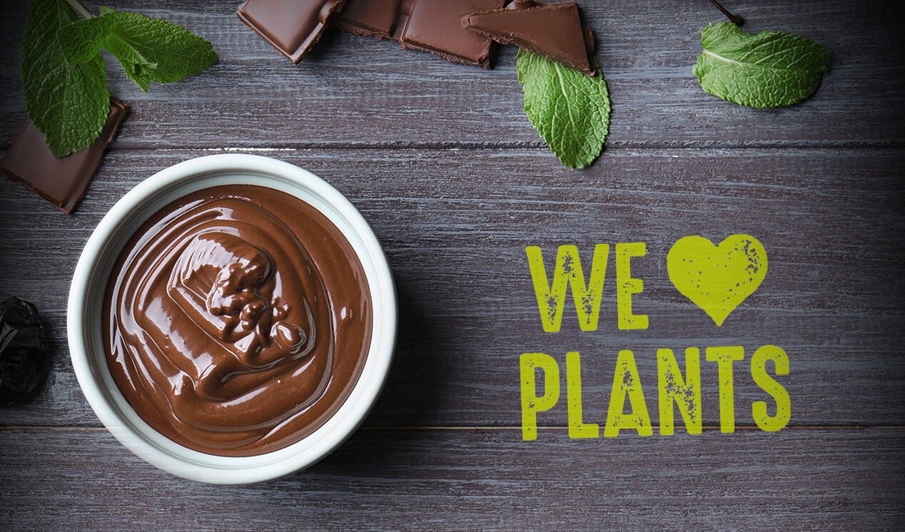 Schoko Pudding vegan - WE ♥ PLANTS - Keyvisual