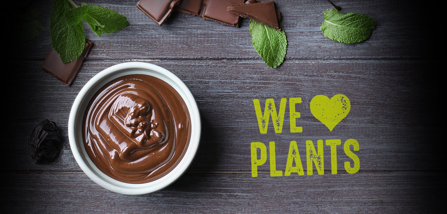 Schoko Pudding vegan - WE ♥ PLANTS - Keyvisual