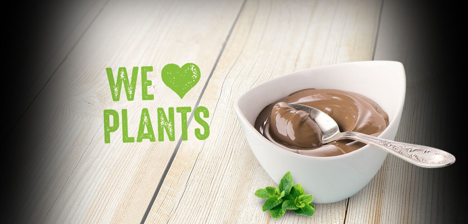 We love Plants veganer Pudding mit Haselnussgeschmack
