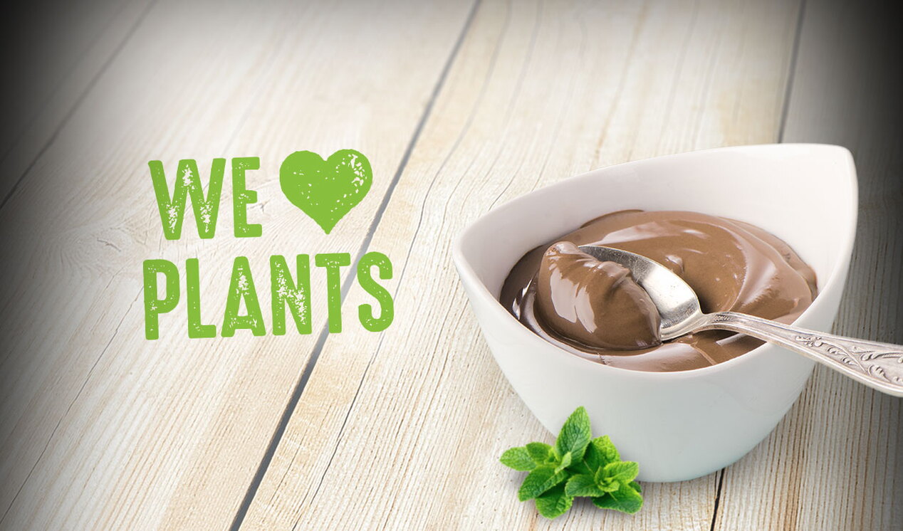 We love Plants veganer Pudding mit Haselnussgeschmack